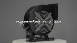 Вентилятор DF "УЛИТКА" 220 В
