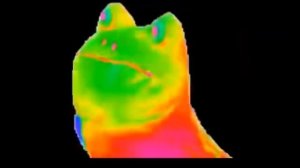 RAINBOW FROG DANCING 10 HOURS / РАДУЖНАЯ ЛЯГУШКА ТАНЦУЕТ 10 ЧАСОВ