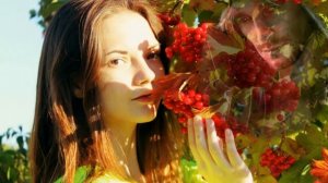 Калина красная