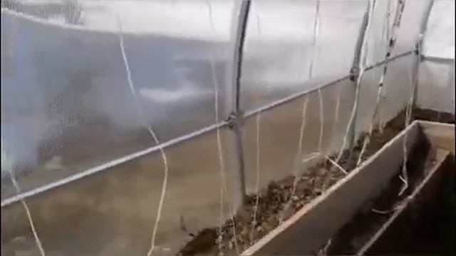 Наш поход на дачу смотреть онлайн