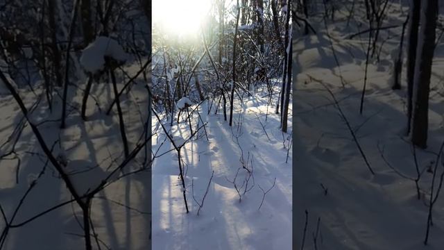ЦЕЛОМУДРИЕ - целостность и мудрость Бытия в этом мире! 🍀