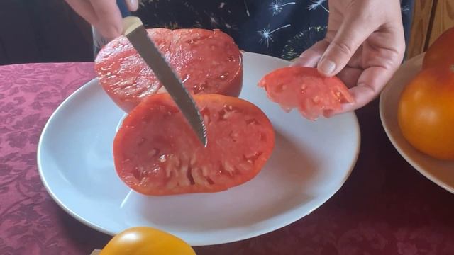 Томат КУЛАК ПОДДУБНОГО от Сибирского сада / сибирская селекция смотреть онлайн