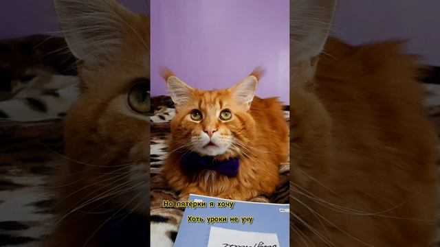 Описание в отпуске. Вернется через неделю.