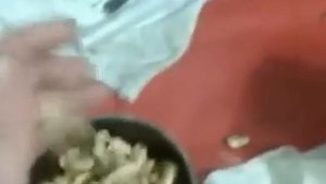 пресс своими руками для оджима масла