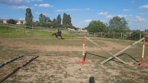 Тренировка лошадей