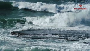 Душевные и нервные болезни  - Порфирий  Кавсокаливит