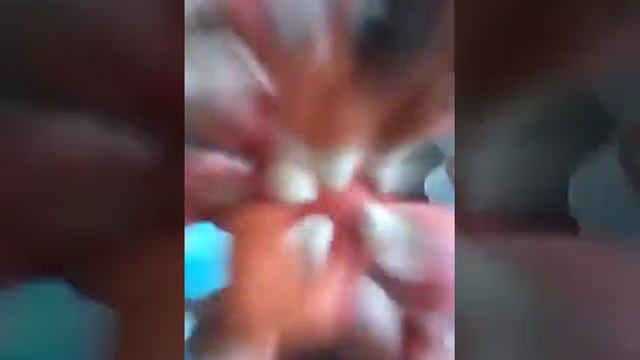 Я и мой друг на даче и пластелиновый фокси смотреть онлайн