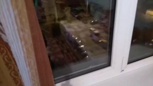 Дня сегодняшнего долгота