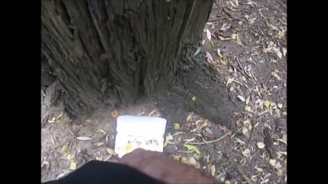 Бьём ПО ЯЙЦАМ И ДЕКЛАМИРУЕМ СТИХИ. смотреть онлайн