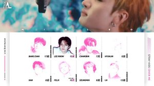 Stray Kids — Cover Me 가려줘 | Line Distribution