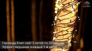 Как красиво украсить деревья: гирлянда клип лайт