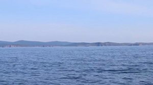 Морская рыбалка в Приморском крае. Ловля камбалы!