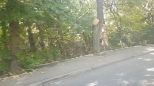 Севастопольский Автобус на БАЗ А079 до Поворот на Голландия 14.09.2022г.