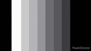 Профилактика 1 канал