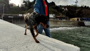 Путешествие в Партенит и Гурзуф.