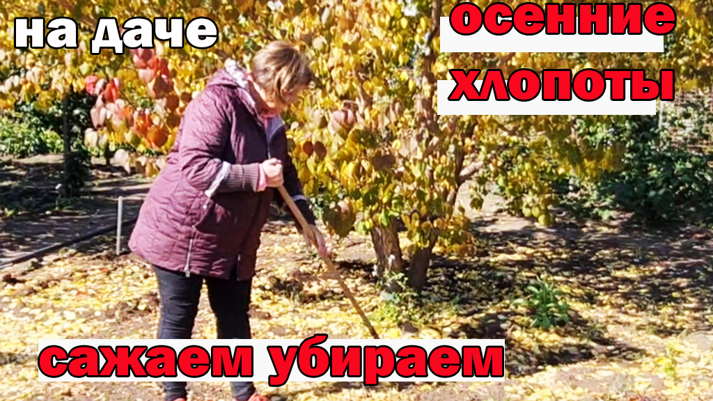 На даче.Приятные осенние хлопоты.Сажаем убираем