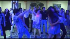 Армянская свадьба.Ереван.disko 3