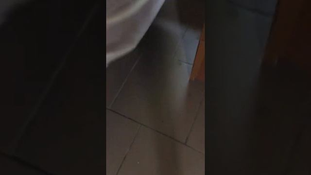 Гостевой дом Этюд Новофедоровка. «Каменный домик» смотреть онлайн