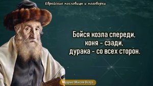 Еврейские пословицы и поговорки! Еврейская мудрость, которая научит мыслить шире!