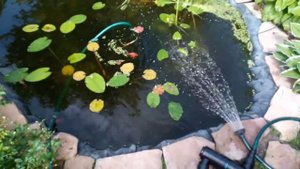 Позеленел прудик, покупка Уф-стерилизатор SunSun CUV-211.