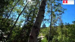 Чудотворный Источник Алтайского края/Святой Источник/ Сорочий Лог /3 часть 15 июля 2020г