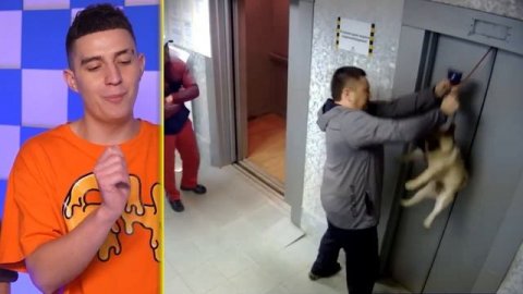 Попробу не Сказать ВАУ Челлендж !