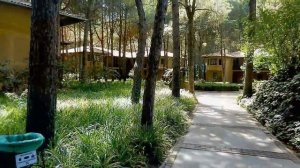 Club Magic Life Waterworld Турция, Белек - море, сосны, супер!