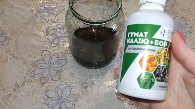 Я Обалдела! Огурцы ПЛОДОНОСЯТ КАК СУМАСШЕДШИЕ от Этих Подкормок! Огород в Городской Квартире.