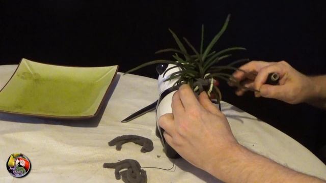 PANDA BLUES - mounting Holcovanstylis 'Judy's Charm' in a diferent way смотреть онлайн