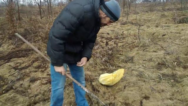 Хотим много МЕДА)Увеличение медосбора?1000кг Меда с гектара?Готовим место в ле смотреть онлайн