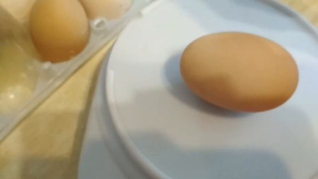 Первые яйца Гилянских кур) смотреть онлайн