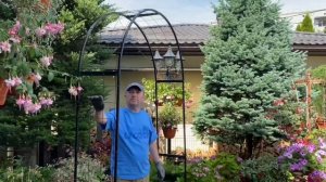 Арка садовая металлическая Unikit (231х123х35 см), делюсь опытом приобретения на OZON
