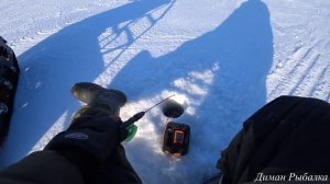 РЫБАЛКА НА СУДАКА ЗИМОЙ 2024! СУДАК В КАЖДОЙ ЛУНКЕ! БЛЕСНА ПРИНЕСЛА ТРОФЕЙ!ВОДОХРАНИЛИЩЕ #судак