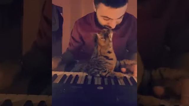 Любитель музыки!