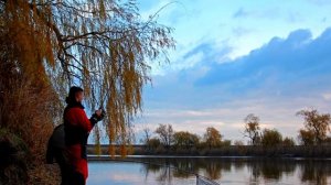 Обзор Team Salmo Tournament Feeder 100
