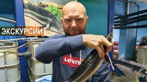 Экскурсии на рыбную ферму Живой осетр