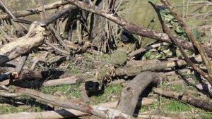 Тактико-специальное учение разведчиков в Северной Осетии