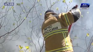 В Туапсинском районе введен запрет на посещение лесов из-за высокой пожароопасности