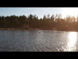 ВЕСНОВКА 2019 \ Часть 8 \ РЫБАЛКА И ОХОТА