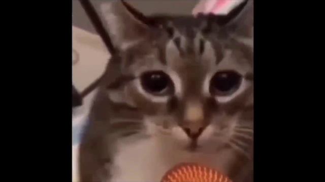 Наша Раша- шаблон для мема смотреть онлайн