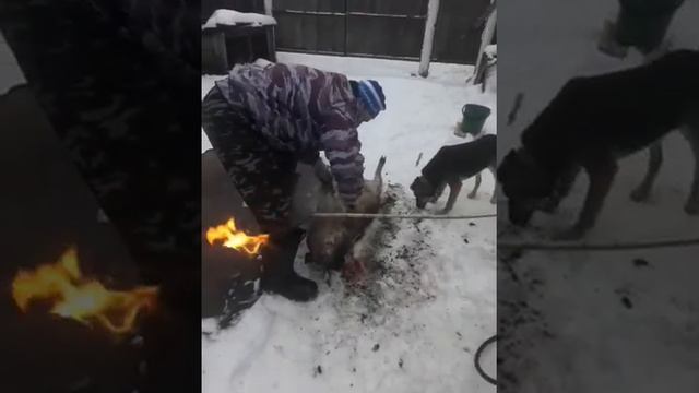 Нурлатский район деревня Селенгуши#чушка#ченрная# смотреть онлайн