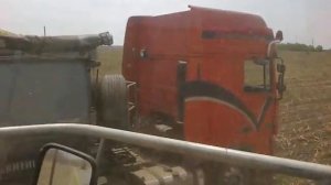 Уборка силоса комбайном ягуар 840