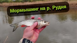 Мормышинг на реке Рудня в Нижегородской области с. Починки. Бюджетный спининг для мормышинга. Рыбалк