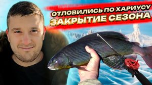 Отловились по хариусу. Закрытие сезона.