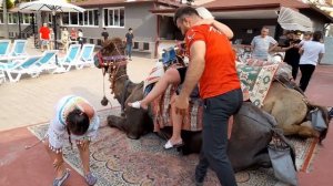 Праздник Турецкая ночь. Турция 2023.