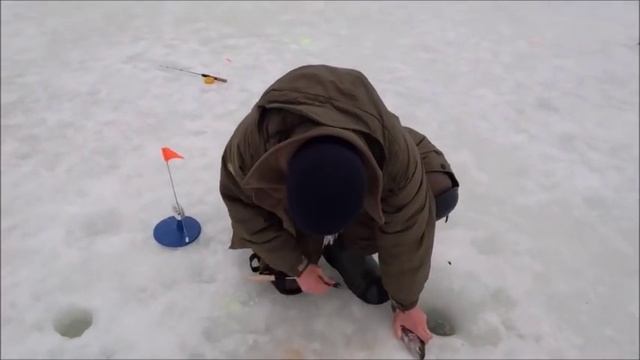 Рыбалка на Спортзоне в Савельево на Ленинградке. 5.03.17г