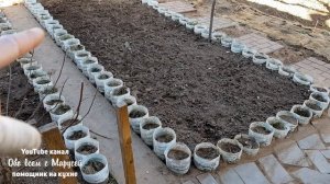 БОРДЮР ИЗ ПЛАСТИКОВЫХ БУТЫЛОК ЧТО СТАЛО ЧЕРЕЗ ГОД