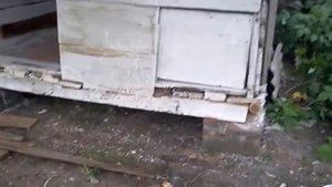 сарай для уток