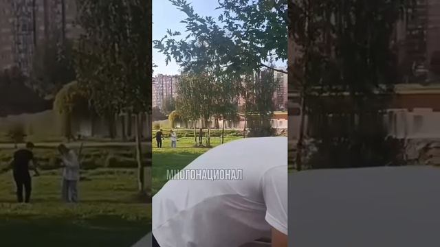 В Ленобласти иностранный специалист отнял самокат у русского ребёнка, чтобы подарить своему мигрантё
