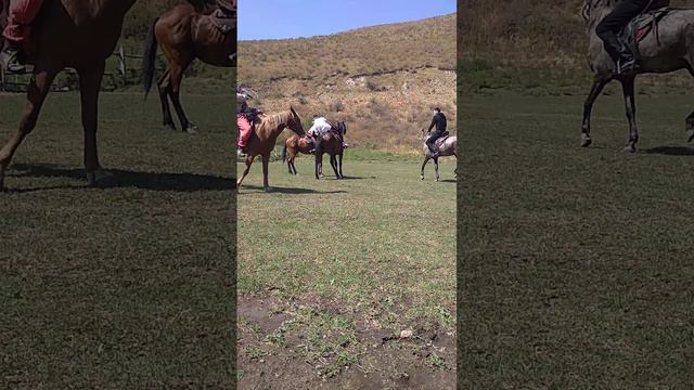 Номад центр. Борьба. смотреть онлайн